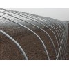 山東全新溫室|花卉連棟溫室建設