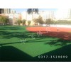 寧夏中衛(wèi)市塑膠跑道|塑膠跑道廠家價格|塑膠跑道材料
