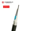 威海哪里供應的GYDTA光纜更好|中國GYDTA光纜