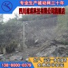 供應熱銷被動防護網，綿陽被動防護網