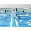 東莞實惠的防水涂料供應-經銷商防水涂料