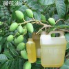 專業(yè)供應手工皂原料 霍霍芭油