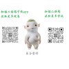 上海復合型材招商哪家好，可信的復合型材加盟