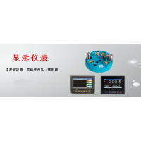 杰克儀表廠價供應數顯儀表