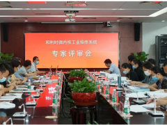 填補(bǔ)國內(nèi)空白：和利時(shí)推出的微內(nèi)核工業(yè)操作系統(tǒng)通過專家評審