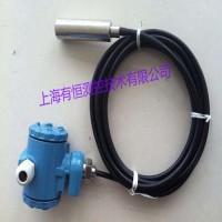 上海有恒UHTR-802F防腐型投入式液位計(jì)