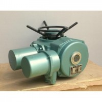 DZW15-24-A00-DS1 95典設(shè)型閥門(mén)電動(dòng)裝置