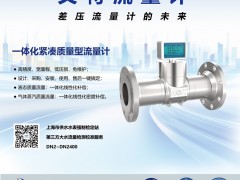 上海科洋科技入刊上海世環(huán)會特刊《儀表與測量控制》系列客戶報道42