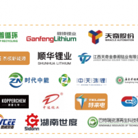 2025國際退役動力電池、風光組件資源化循環利用技術論壇